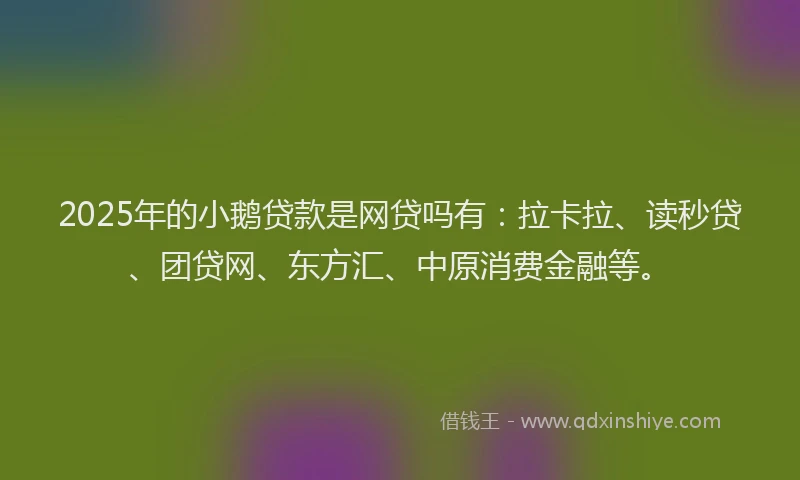 2025年的小鹅贷款是网贷吗有：拉卡拉、读秒贷、团贷网、东方汇、中原消费金融等。
