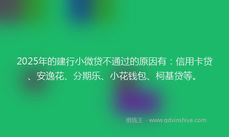 2025年的建行小微贷不通过的原因有：信用卡贷、安逸花、分期乐、小花钱包、柯基贷等。