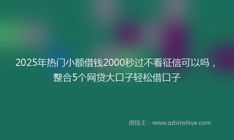 2025年热门小额借钱2000秒过不看征信可以吗，整合5个网贷大口子轻松借口子