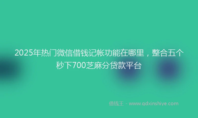 2025年热门微信借钱记帐功能在哪里，整合五个秒下700芝麻分贷款平台