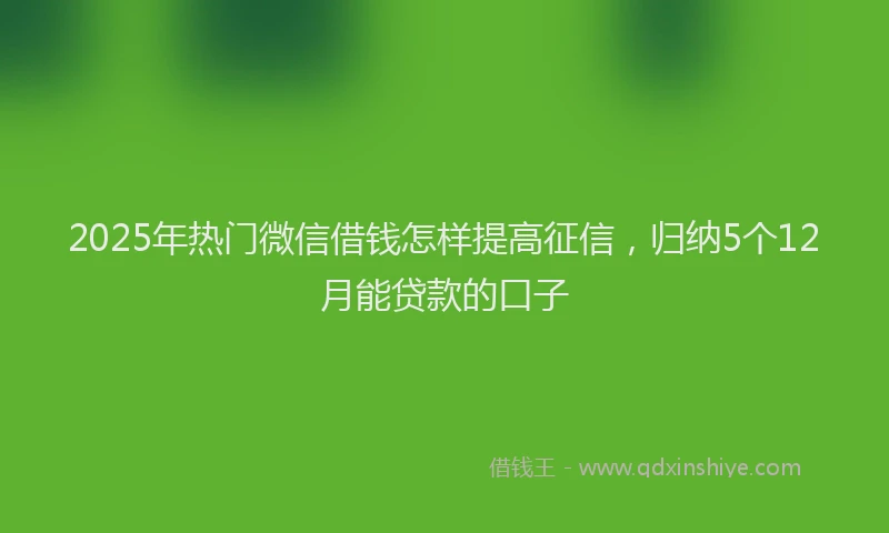 2025年热门微信借钱怎样提高征信，归纳5个12月能贷款的口子