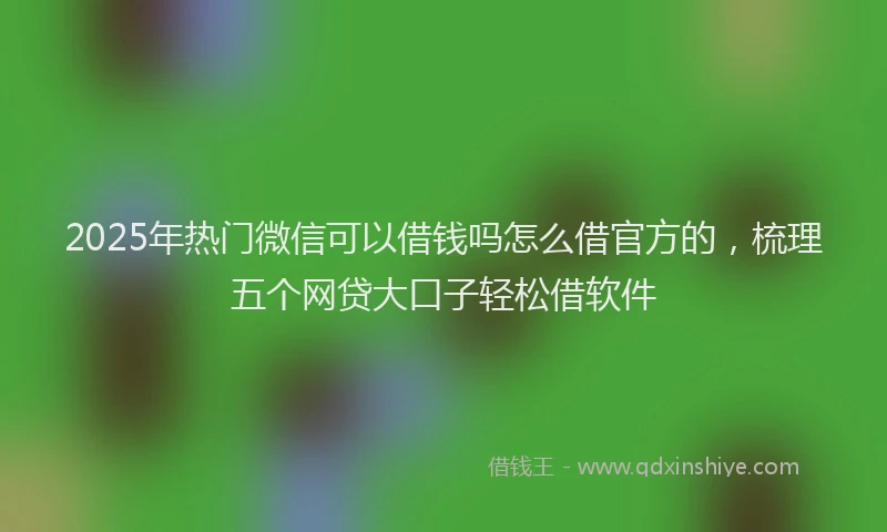 2025年热门微信可以借钱吗怎么借官方的，梳理五个网贷大口子轻松借软件