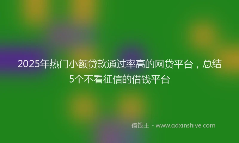2025年热门小额贷款通过率高的网贷平台，总结5个不看征信的借钱平台