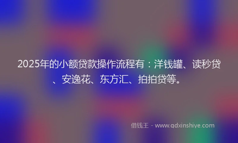 2025年的小额贷款操作流程有：洋钱罐、读秒贷、安逸花、东方汇、拍拍贷等。