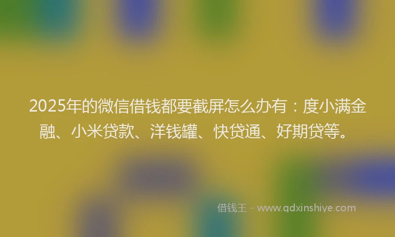 2025年的微信借钱都要截屏怎么办有：度小满金融、小米贷款、洋钱罐、快贷通、好期贷等。