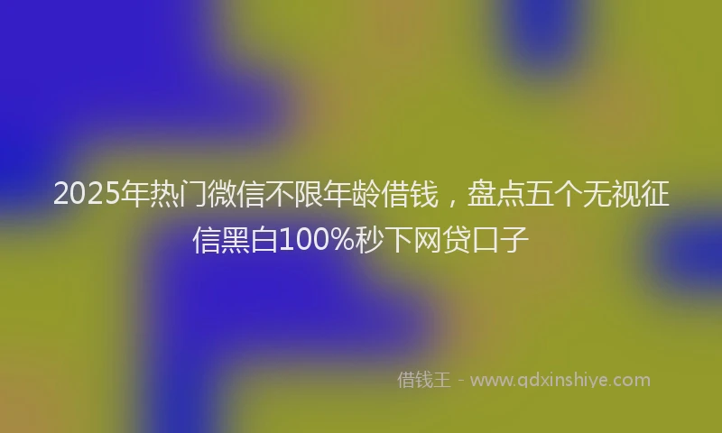 2025年热门微信不限年龄借钱，盘点五个无视征信黑白100%秒下网贷口子