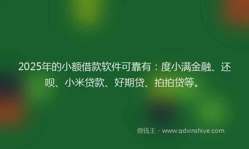 2025年的小额借款软件可靠有：度小满金融、还呗、小米贷款、好期贷、拍拍贷等。
