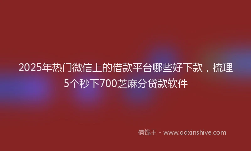2025年热门微信上的借款平台哪些好下款，梳理5个秒下700芝麻分贷款软件