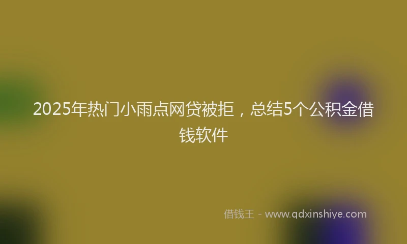 2025年热门小雨点网贷被拒，总结5个公积金借钱软件