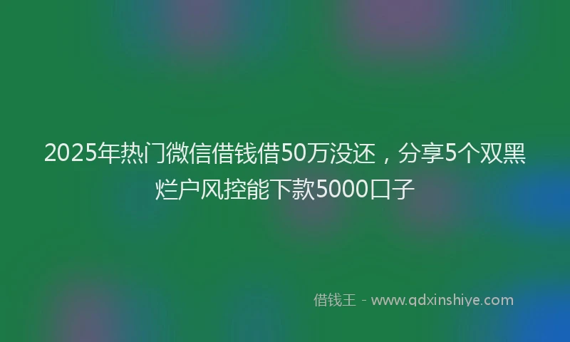 2025年热门微信借钱借50万没还，分享5个双黑烂户风控能下款5000口子