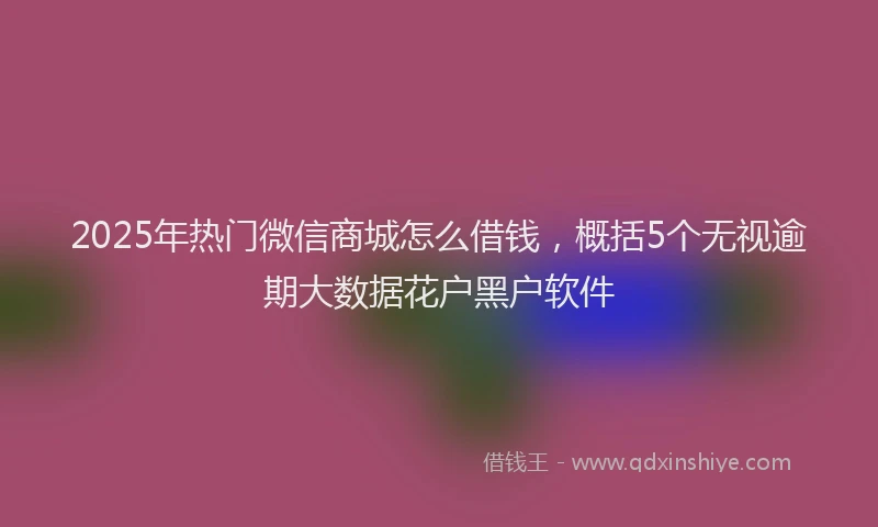 2025年热门微信商城怎么借钱，概括5个无视逾期大数据花户黑户软件