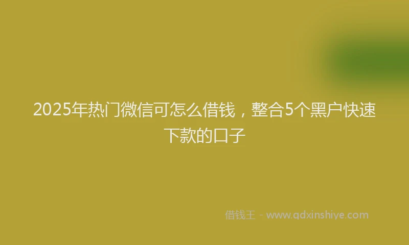 2025年热门微信可怎么借钱，整合5个黑户快速下款的口子