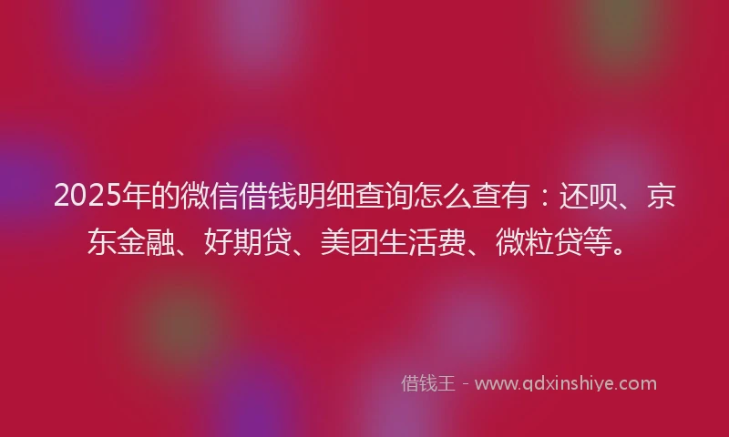 2025年的微信借钱明细查询怎么查有：还呗、京东金融、好期贷、美团生活费、微粒贷等。