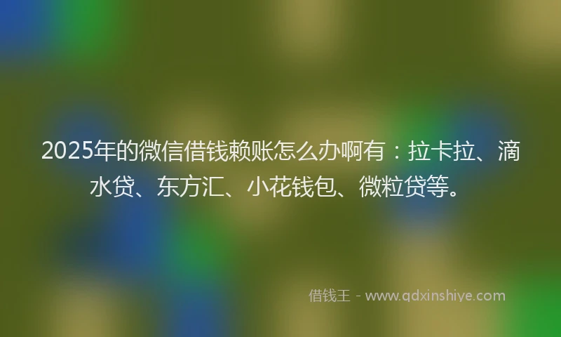 2025年的微信借钱赖账怎么办啊有：拉卡拉、滴水贷、东方汇、小花钱包、微粒贷等。