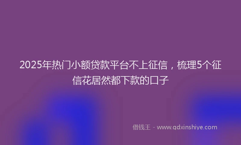 2025年热门小额贷款平台不上征信，梳理5个征信花居然都下款的口子
