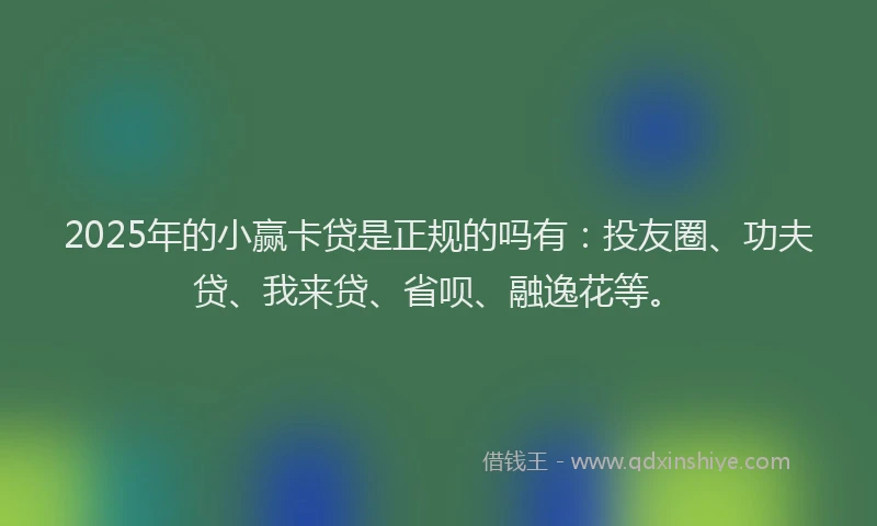 2025年的小赢卡贷是正规的吗有：投友圈、功夫贷、我来贷、省呗、融逸花等。