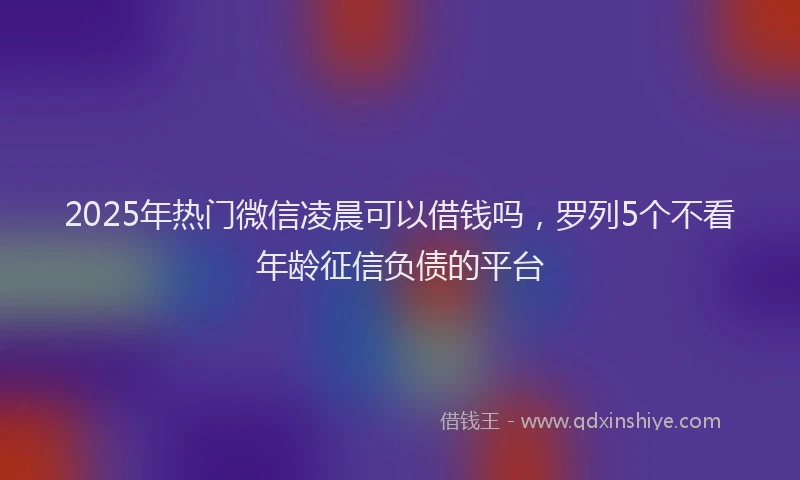 2025年热门微信凌晨可以借钱吗，罗列5个不看年龄征信负债的平台