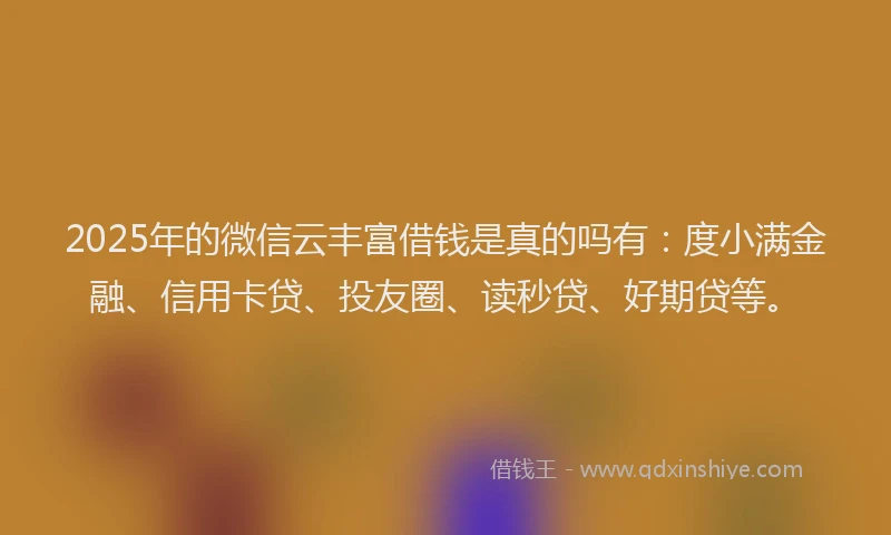2025年的微信云丰富借钱是真的吗有：度小满金融、信用卡贷、投友圈、读秒贷、好期贷等。