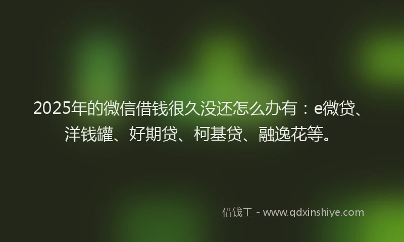 2025年的微信借钱很久没还怎么办有：e微贷、洋钱罐、好期贷、柯基贷、融逸花等。