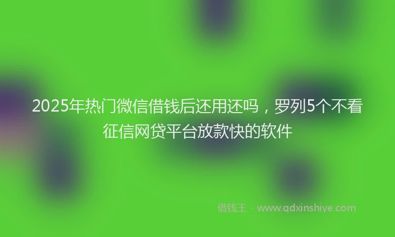 2025年热门微信借钱后还用还吗，罗列5个不看征信网贷平台放款快的软件