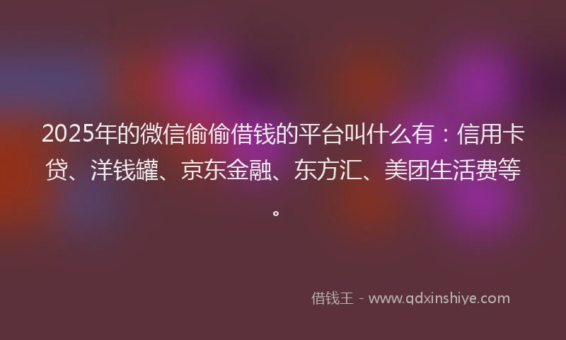 2025年的微信偷偷借钱的平台叫什么有：信用卡贷、洋钱罐、京东金融、东方汇、美团生活费等。