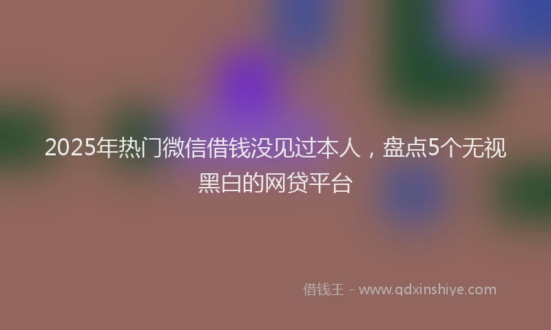 2025年热门微信借钱没见过本人，盘点5个无视黑白的网贷平台