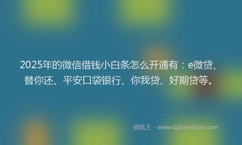 2025年的微信借钱小白条怎么开通有：e微贷、替你还、平安口袋银行、你我贷、好期贷等。