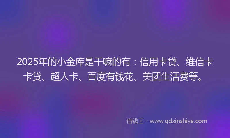 2025年的小金库是干嘛的有：信用卡贷、维信卡卡贷、超人卡、百度有钱花、美团生活费等。