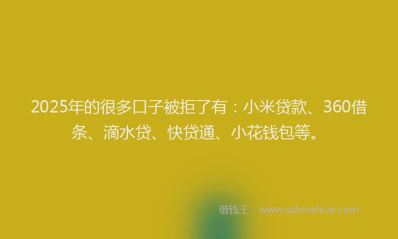 2025年的很多口子被拒了有：小米贷款、360借条、滴水贷、快贷通、小花钱包等。