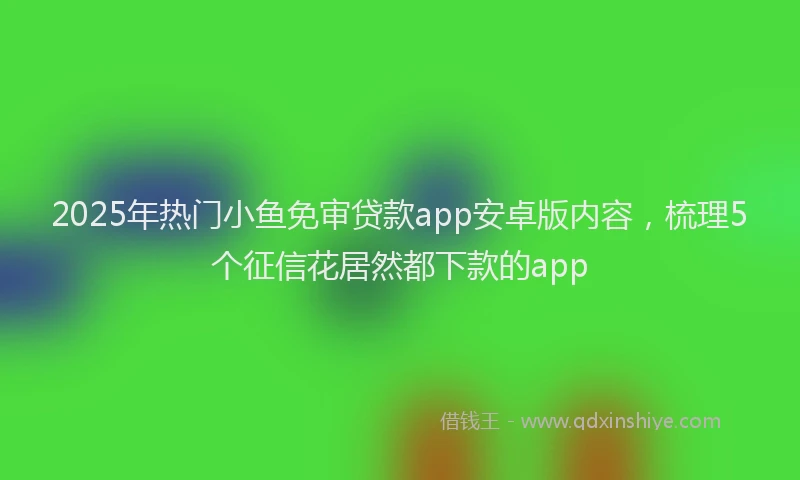 2025年热门小鱼免审贷款app安卓版内容，梳理5个征信花居然都下款的app