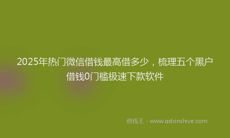 2025年热门微信借钱最高借多少，梳理五个黑户借钱0门槛极速下款软件
