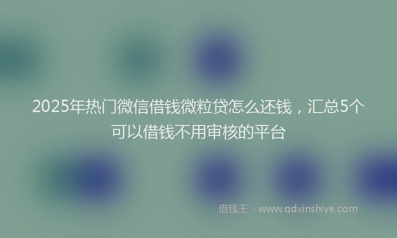 2025年热门微信借钱微粒贷怎么还钱，汇总5个可以借钱不用审核的平台