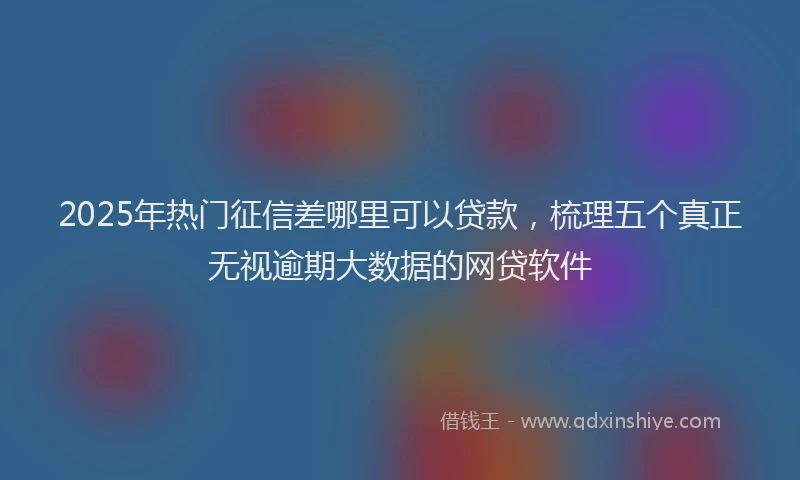 2025年热门征信差哪里可以贷款，梳理五个真正无视逾期大数据的网贷软件