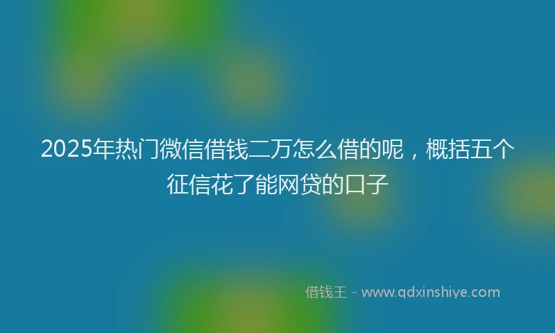 2025年热门微信借钱二万怎么借的呢，概括五个征信花了能网贷的口子