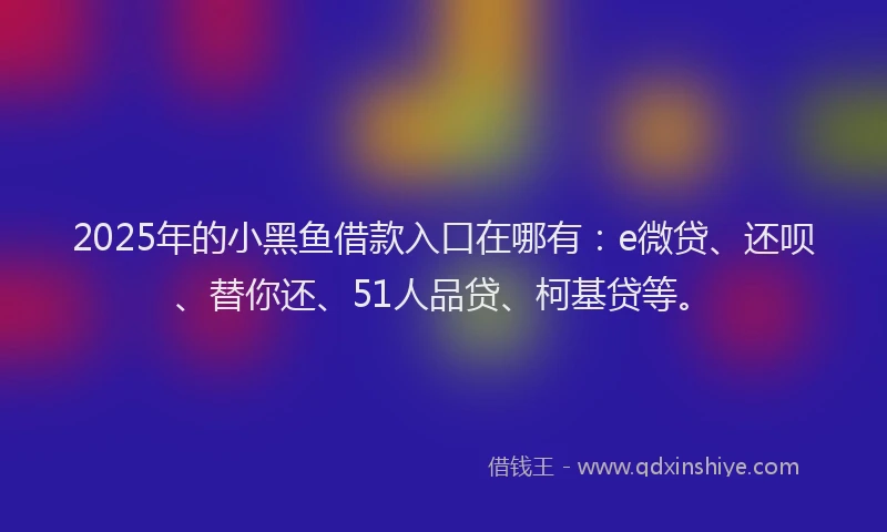2025年的小黑鱼借款入口在哪有：e微贷、还呗、替你还、51人品贷、柯基贷等。