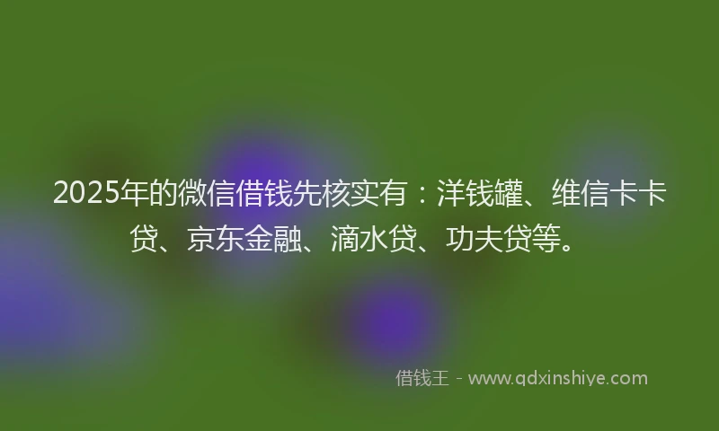 2025年的微信借钱先核实有：洋钱罐、维信卡卡贷、京东金融、滴水贷、功夫贷等。