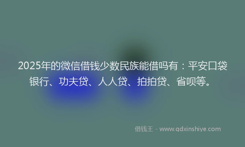 2025年的微信借钱少数民族能借吗有：平安口袋银行、功夫贷、人人贷、拍拍贷、省呗等。