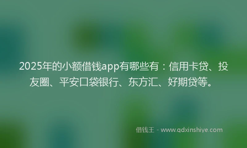 2025年的小额借钱app有哪些有：信用卡贷、投友圈、平安口袋银行、东方汇、好期贷等。