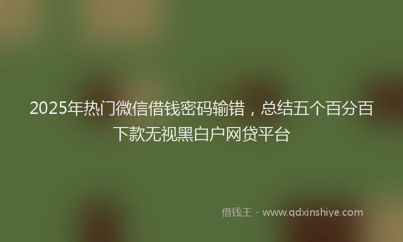 2025年热门微信借钱密码输错，总结五个百分百下款无视黑白户网贷平台