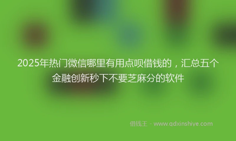 2025年热门微信哪里有用点呗借钱的，汇总五个金融创新秒下不要芝麻分的软件