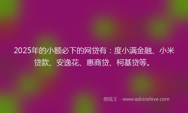 2025年的小额必下的网贷有：度小满金融、小米贷款、安逸花、惠商贷、柯基贷等。