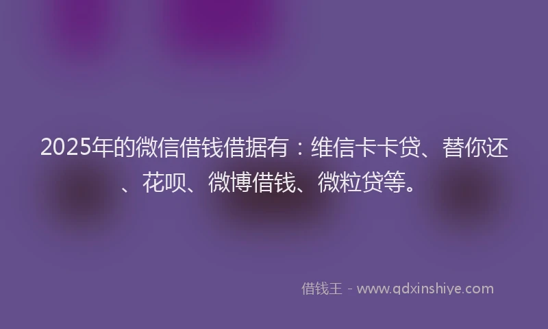 2025年的微信借钱借据有：维信卡卡贷、替你还、花呗、微博借钱、微粒贷等。