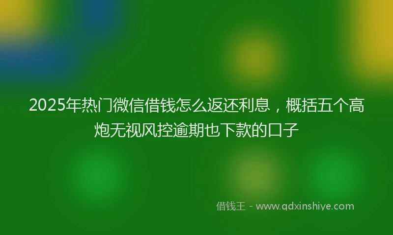 2025年热门微信借钱怎么返还利息，概括五个高炮无视风控逾期也下款的口子