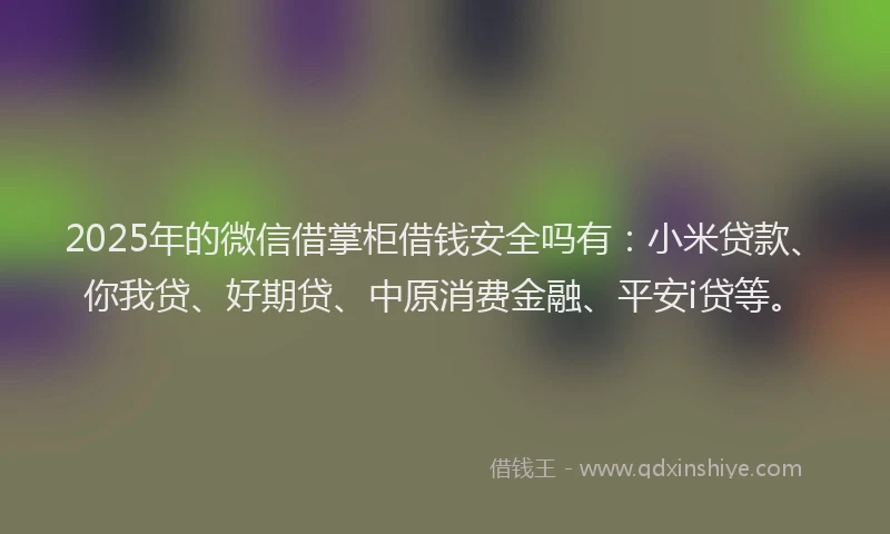 2025年的微信借掌柜借钱安全吗有：小米贷款、你我贷、好期贷、中原消费金融、平安i贷等。