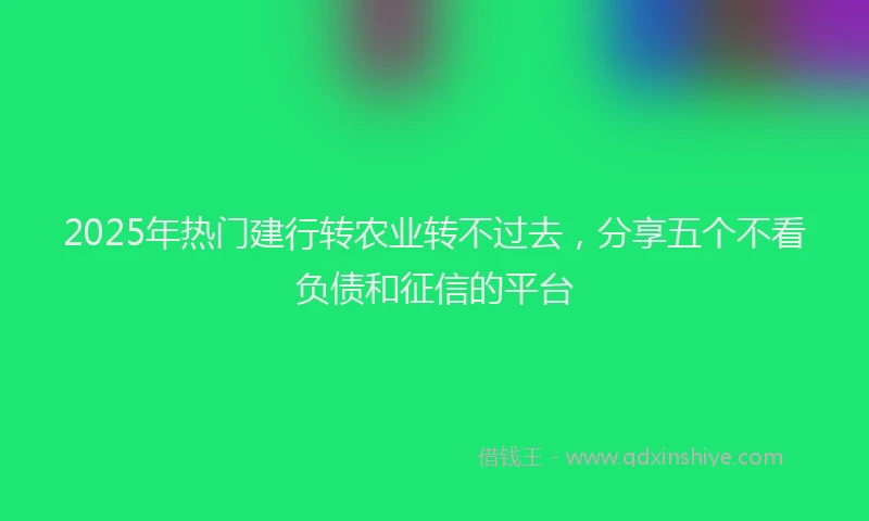 2025年热门建行转农业转不过去，分享五个不看负债和征信的平台