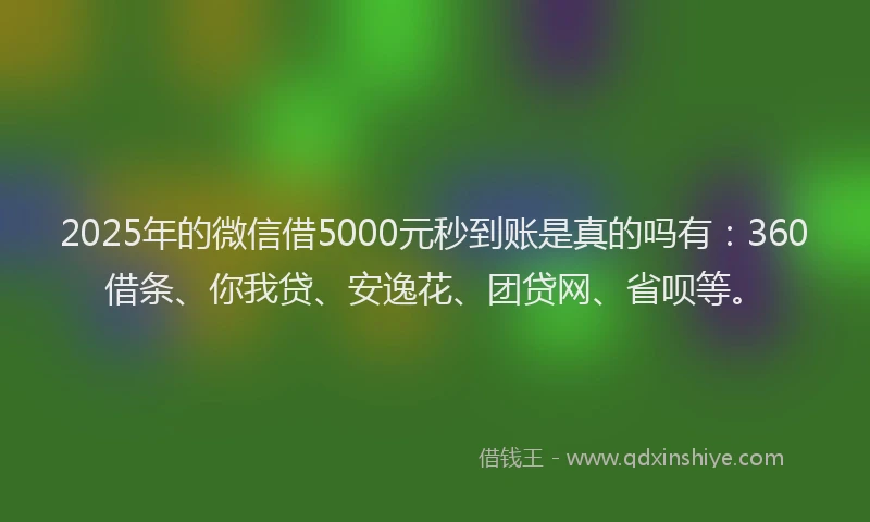 2025年的微信借5000元秒到账是真的吗有：360借条、你我贷、安逸花、团贷网、省呗等。