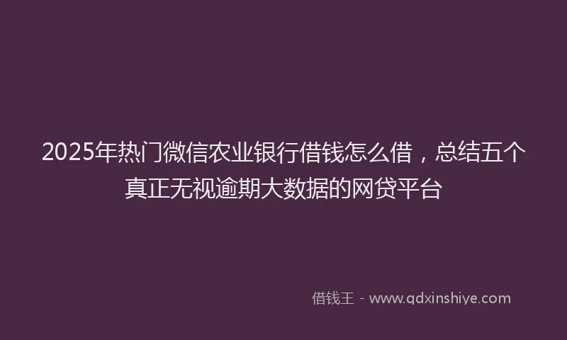 2025年热门微信农业银行借钱怎么借，总结五个真正无视逾期大数据的网贷平台