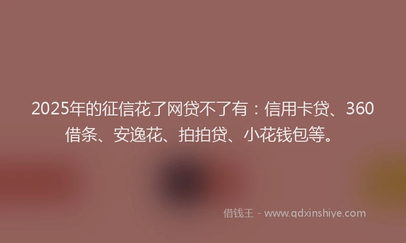 2025年的征信花了网贷不了有：信用卡贷、360借条、安逸花、拍拍贷、小花钱包等。