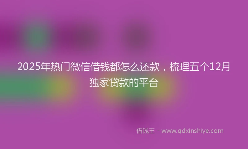 2025年热门微信借钱都怎么还款，梳理五个12月独家贷款的平台