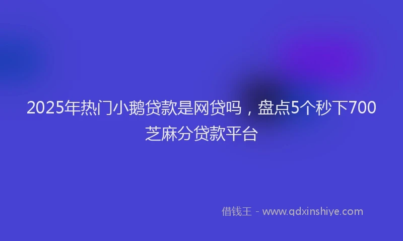 2025年热门小鹅贷款是网贷吗，盘点5个秒下700芝麻分贷款平台